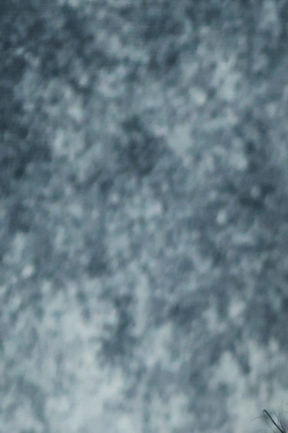 Josh Drama & Acting Teacher Katherine C